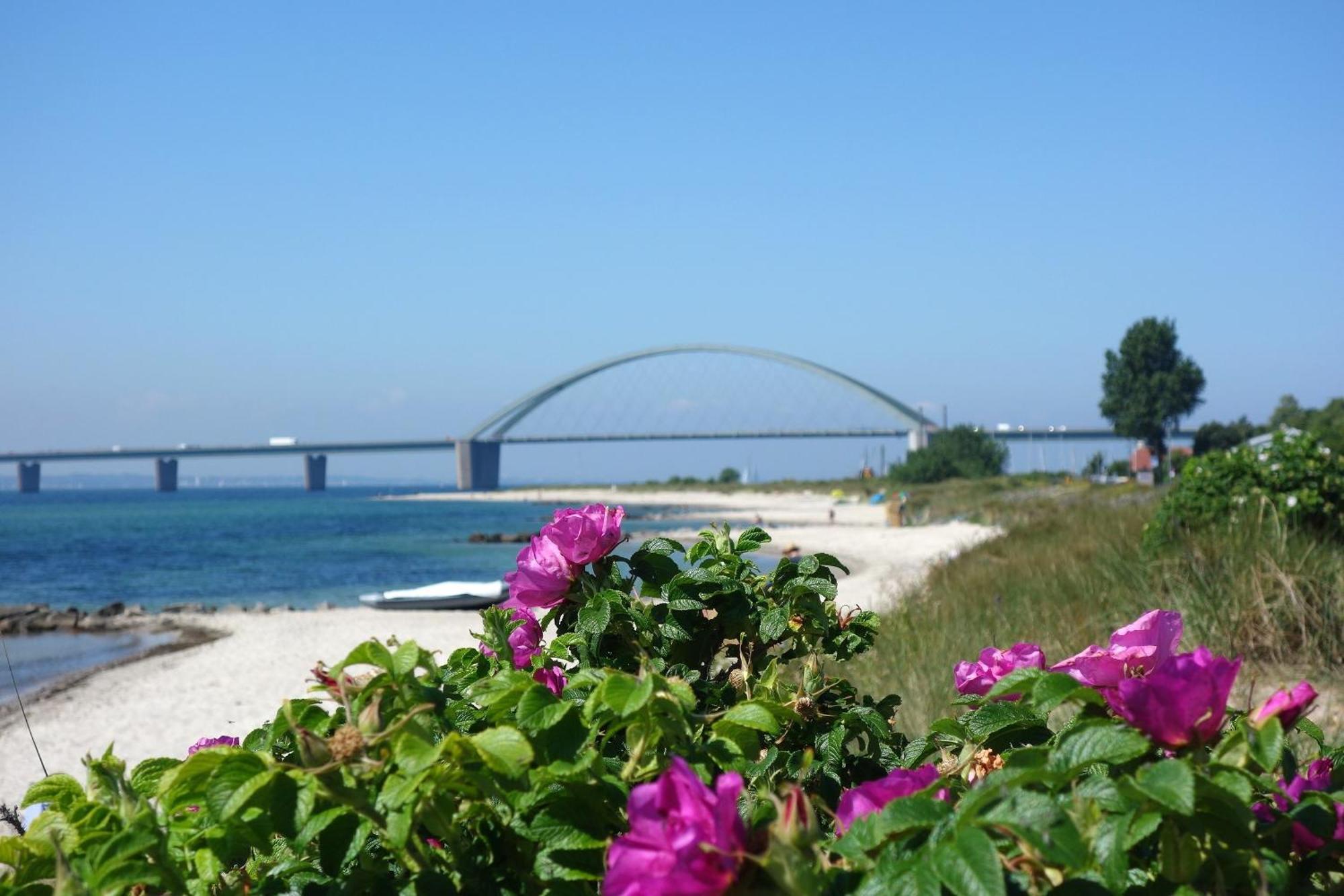 Mina Lägenhet Fehmarn Exteriör bild