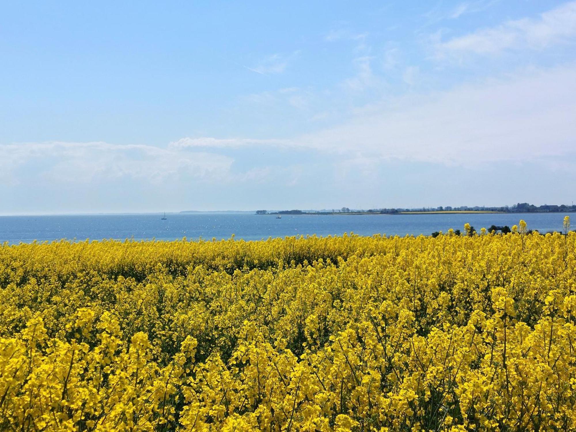 Mina Lägenhet Fehmarn Exteriör bild